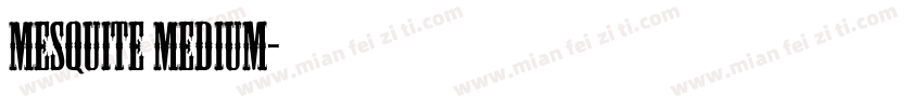 Mesquite Medium字体转换